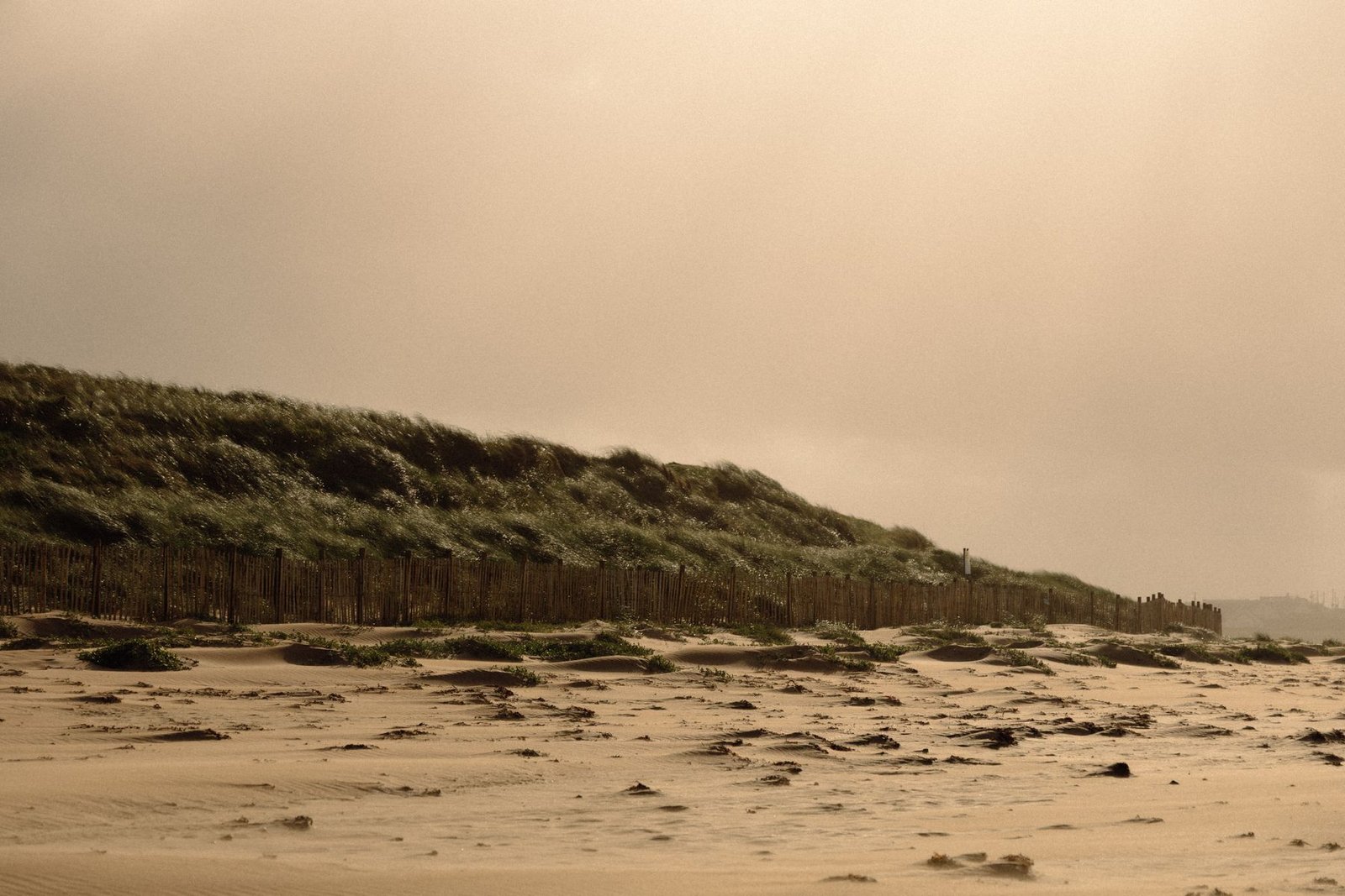 Peaceful sandy beach with grass-topped dunes under an overcast sky in Ireland.