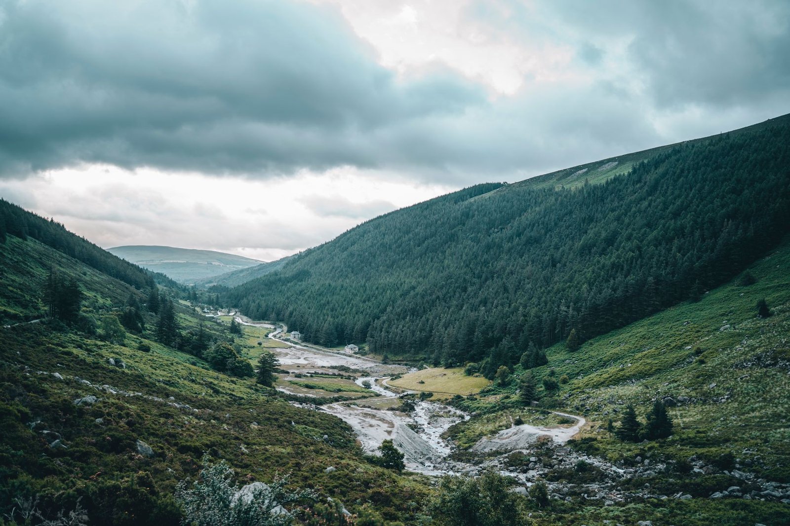 A wooded river valley in Wicklow, Ireland; atmospheric stock photography, not Wilton Castle