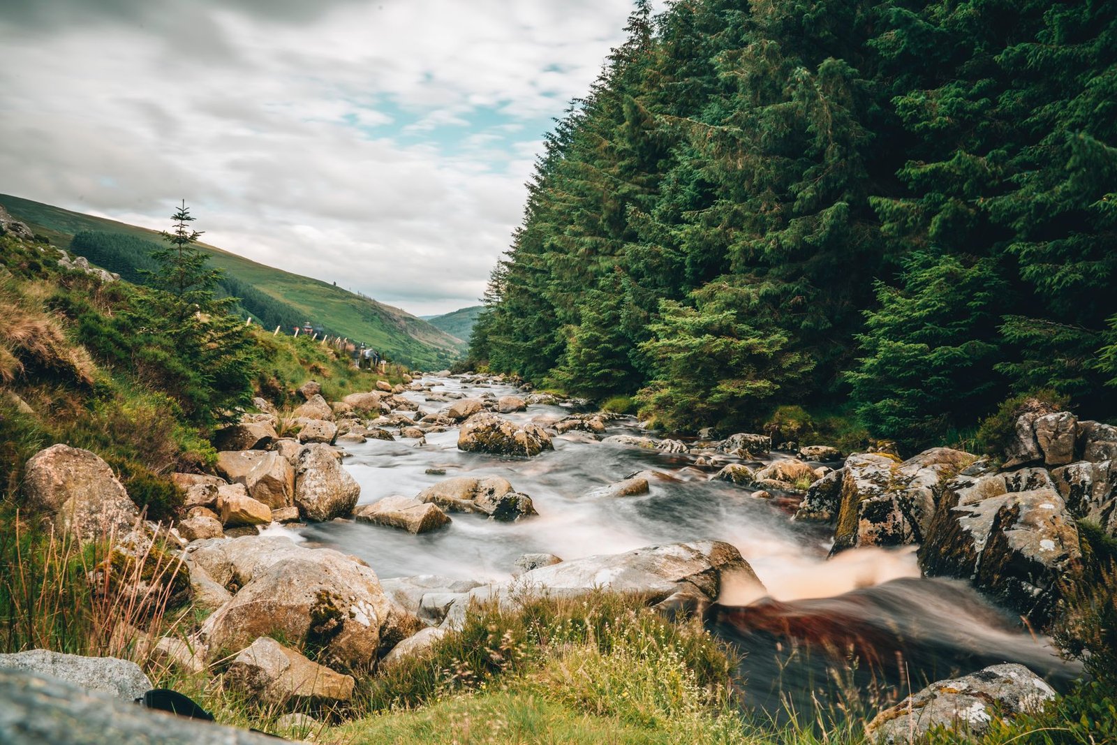Tranquil stream in Wicklow, Ireland, surrounded by lush green trees and rocks, reflecting serene nature's beauty.